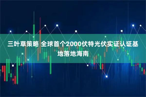 三叶草策略 全球首个2000伏特光伏实证认证基地落地海南