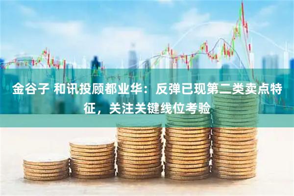金谷子 和讯投顾都业华：反弹已现第二类卖点特征，关注关键线位考验
