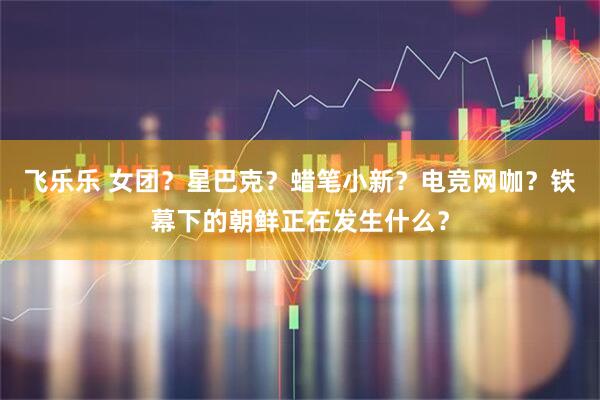 飞乐乐 女团?星巴克?蜡笔小新?电竞网咖?铁幕下的朝鲜正在发生什么?