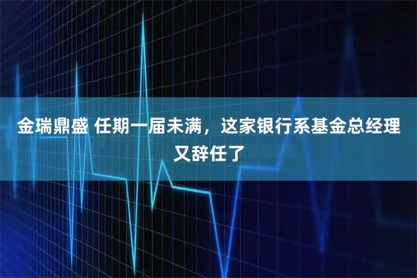 金瑞鼎盛 任期一届未满，这家银行系基金总经理又辞任了