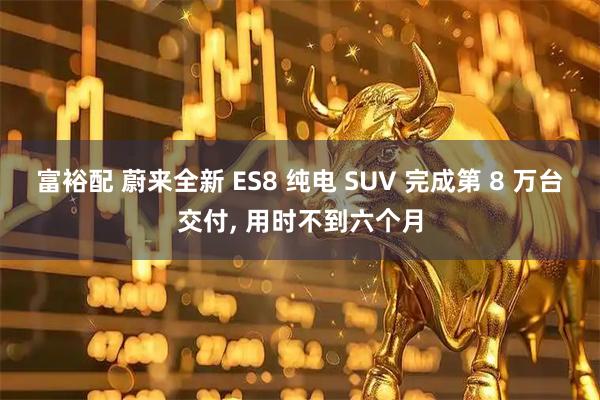 富裕配 蔚来全新 ES8 纯电 SUV 完成第 8 万台交付, 用时不到六个月