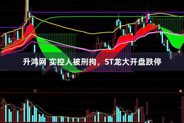 升鸿网 实控人被刑拘，ST龙大开盘跌停